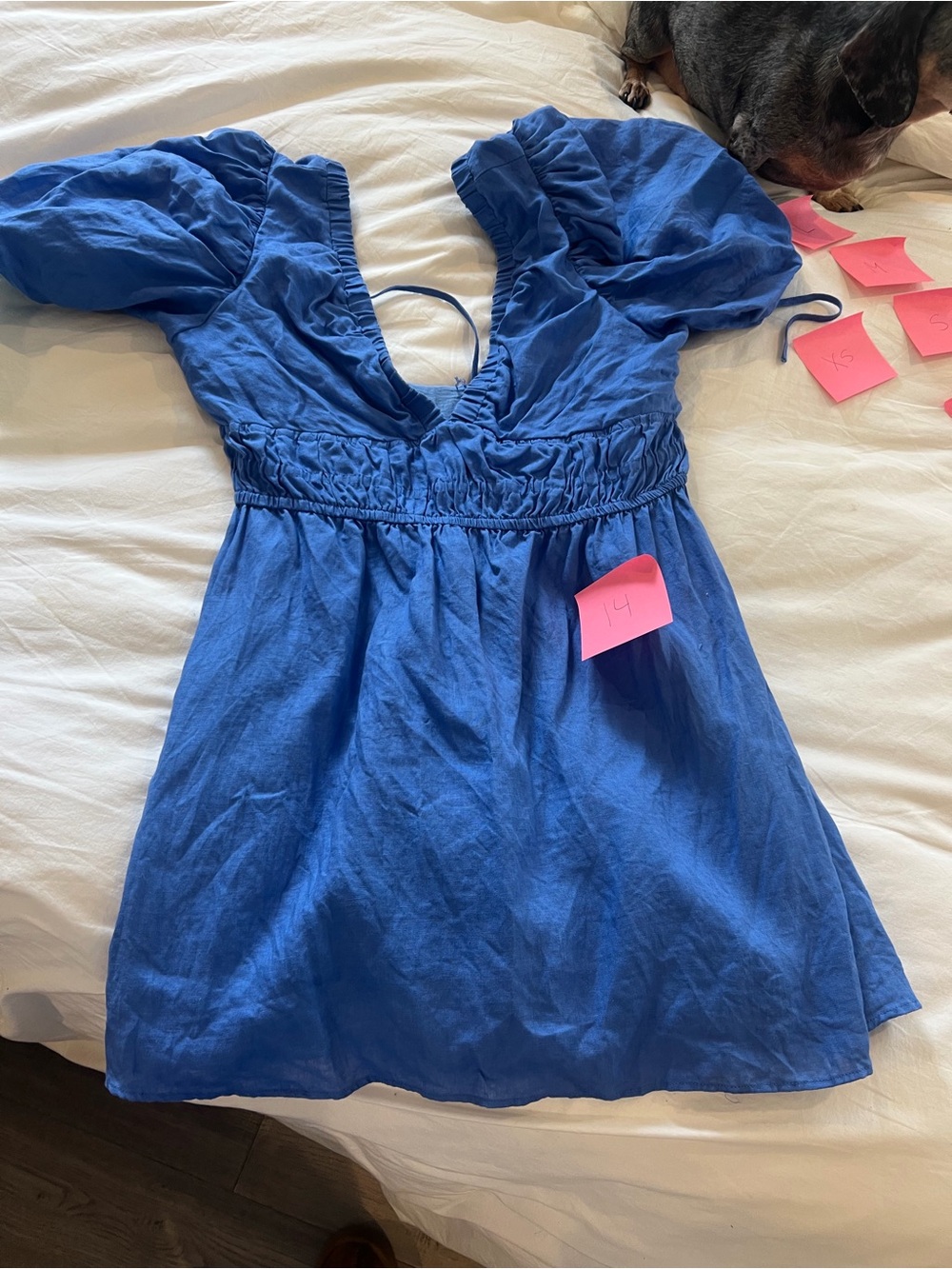 Blue Puff Sleeve V-Neck Mini Dress
